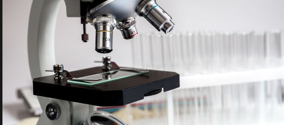 Bon prix Panneau de verre brut résistant aux produits chimiques pour lames d'histologie/cytologie 1300*1100mm Taille standard 4PB 9-12um en ligne